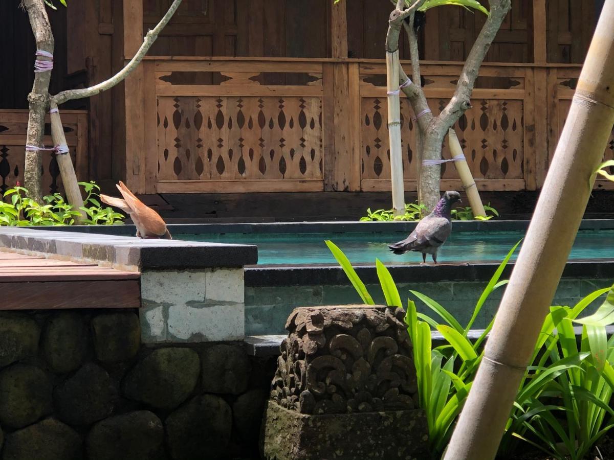 Melati Bali Homestay Canggu Dış mekan fotoğraf