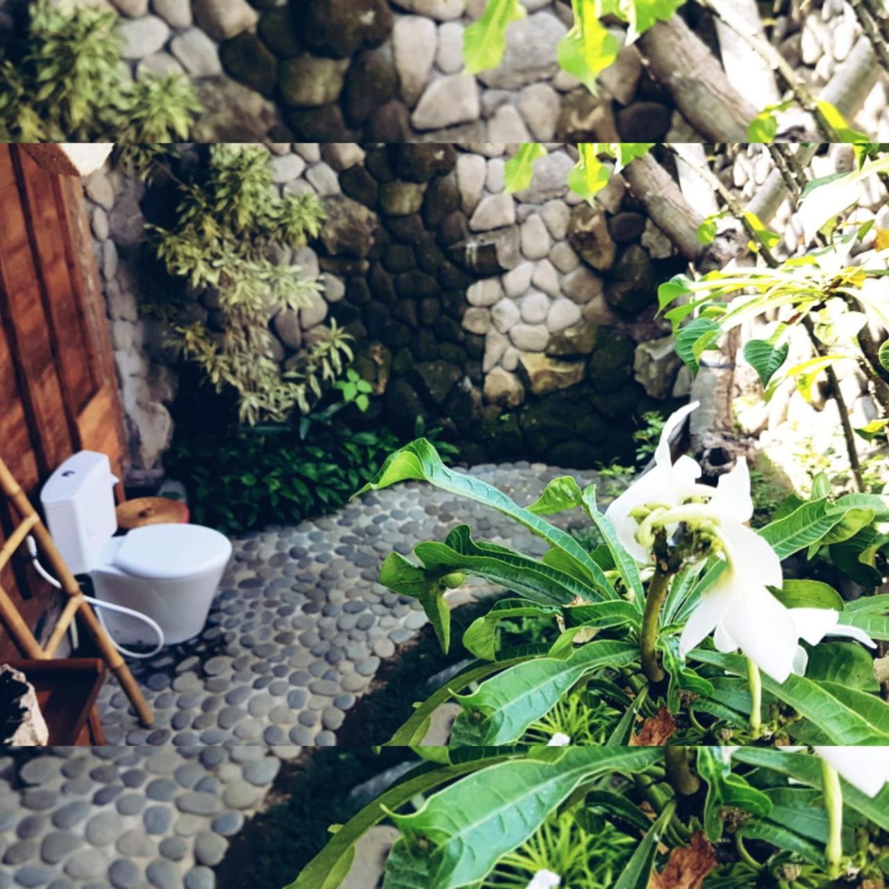 Melati Bali Homestay Canggu Dış mekan fotoğraf